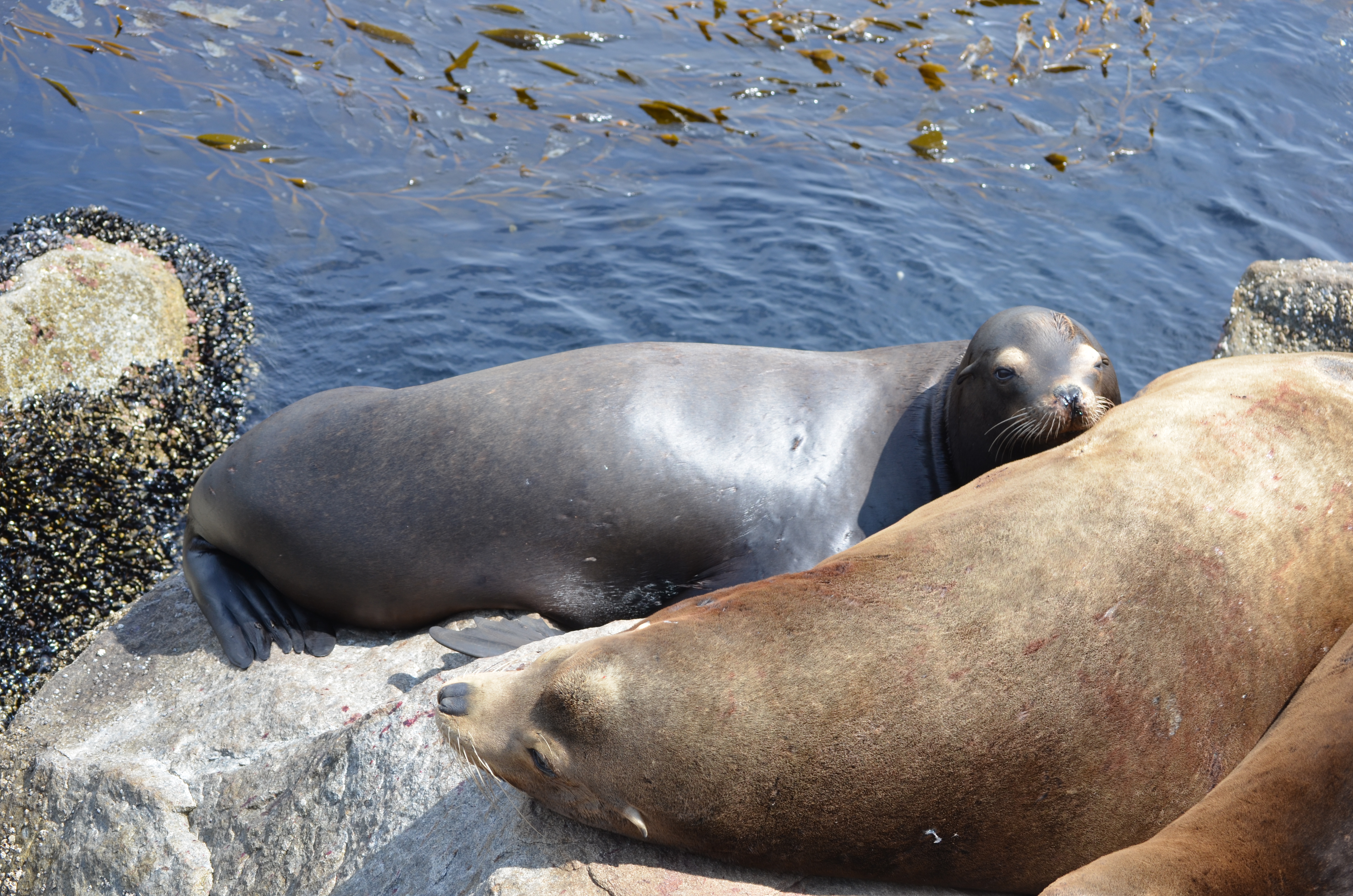 ./2018/09 - San Francisco/ASC_0541.JPG